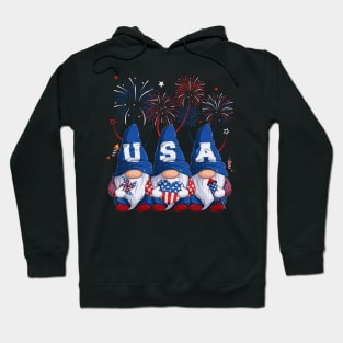 4th Of July Patriotic Gnomes Sunglasses American Fireworks Hoodie